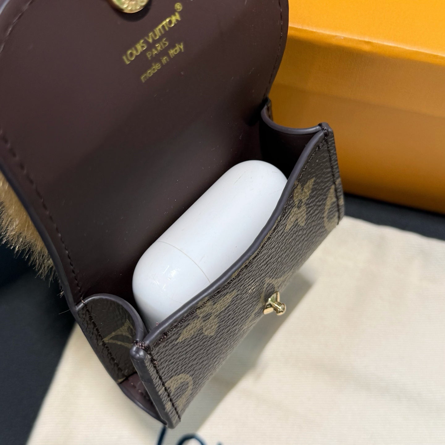 Capybara AirPods case